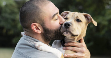 Cães e gatos podem ser sepultados em jazigos familiares em São Paulo